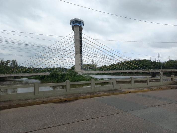 Foto REO1131699