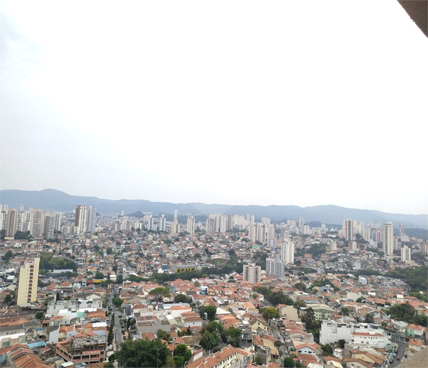 Foto REO1131713