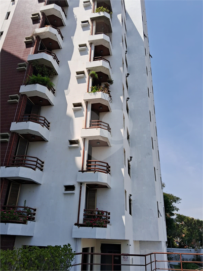 Foto REO1131735