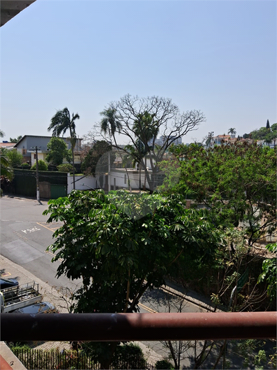 Foto REO1131735