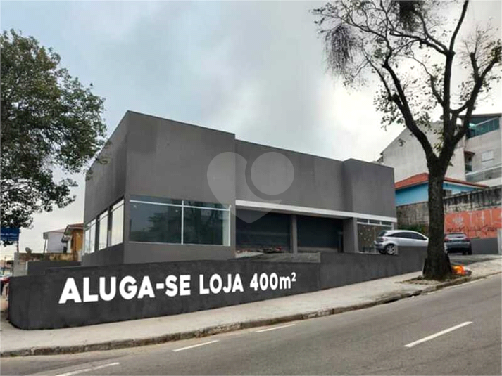 Foto REO1131743