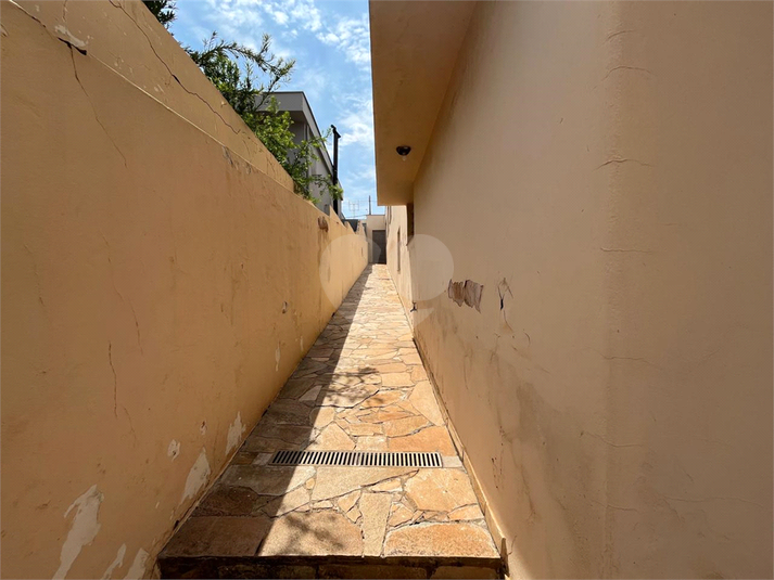 Foto REO1131768