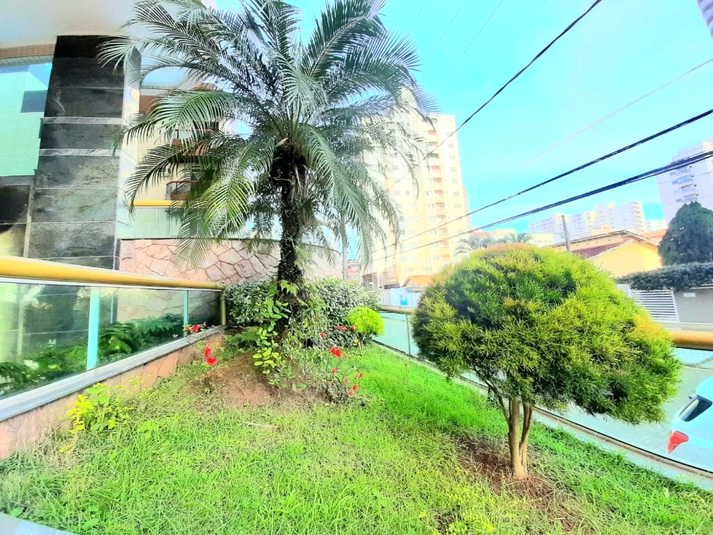 Foto REO1131775