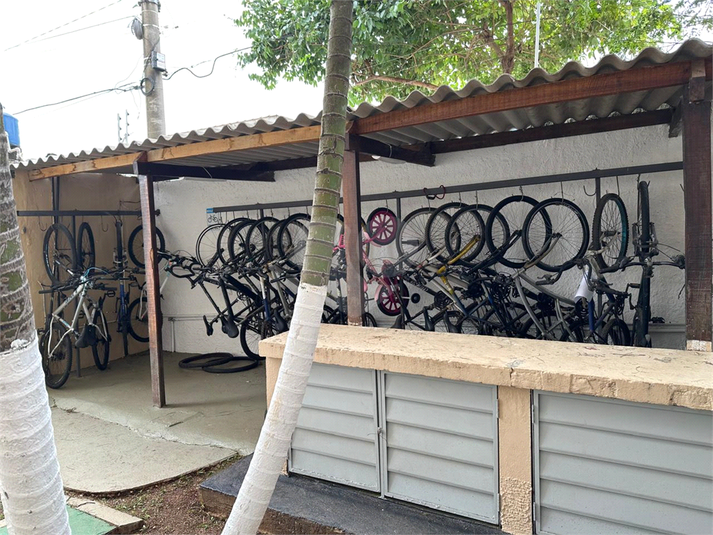 Foto REO1131782