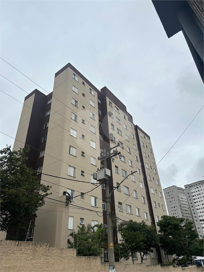 Foto REO1131782
