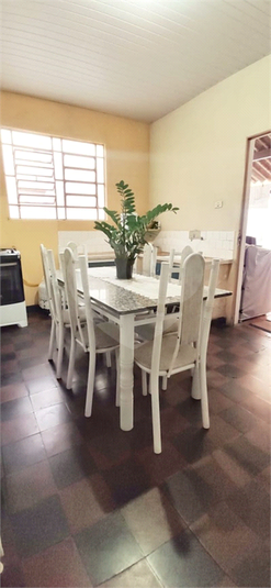 Foto REO1131785