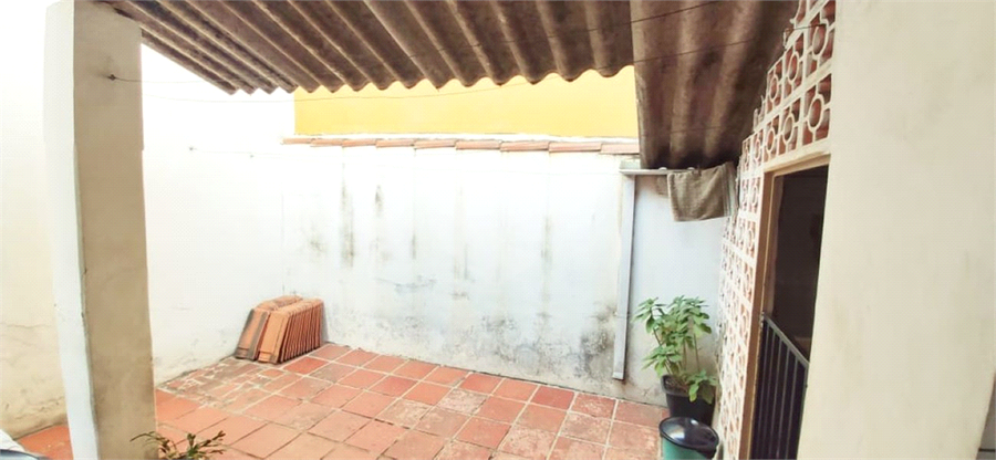 Foto REO1131785