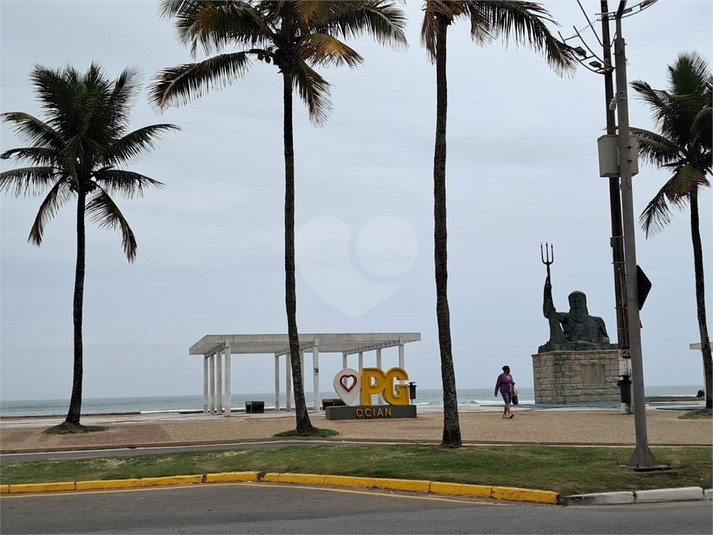 Foto REO1131792
