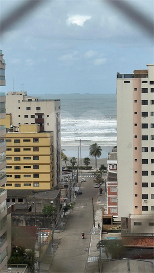 Foto REO1131797
