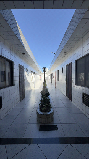 Foto REO1131799