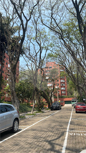 Foto REO1131809