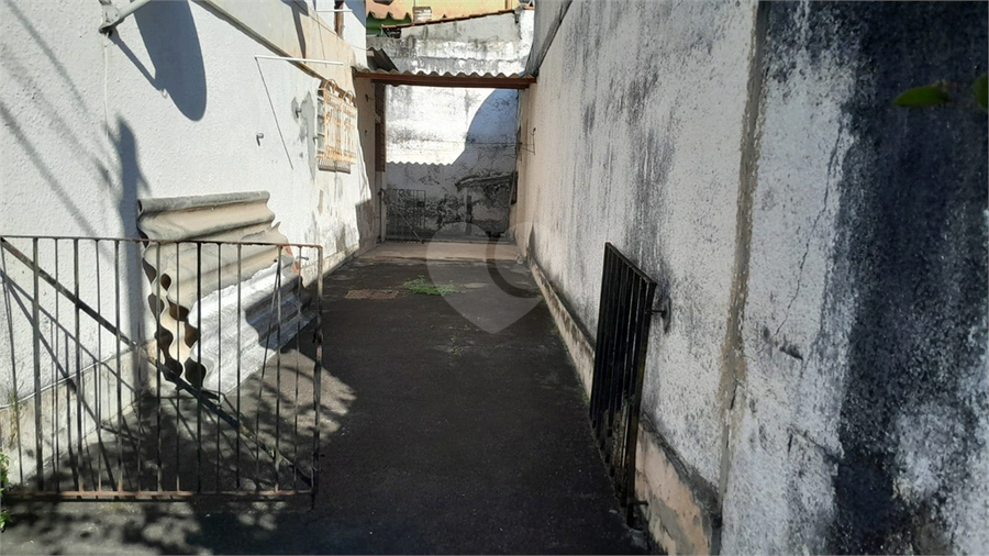 Foto REO1131817