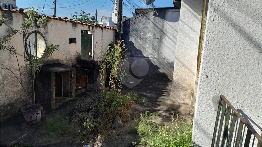 Foto REO1131817