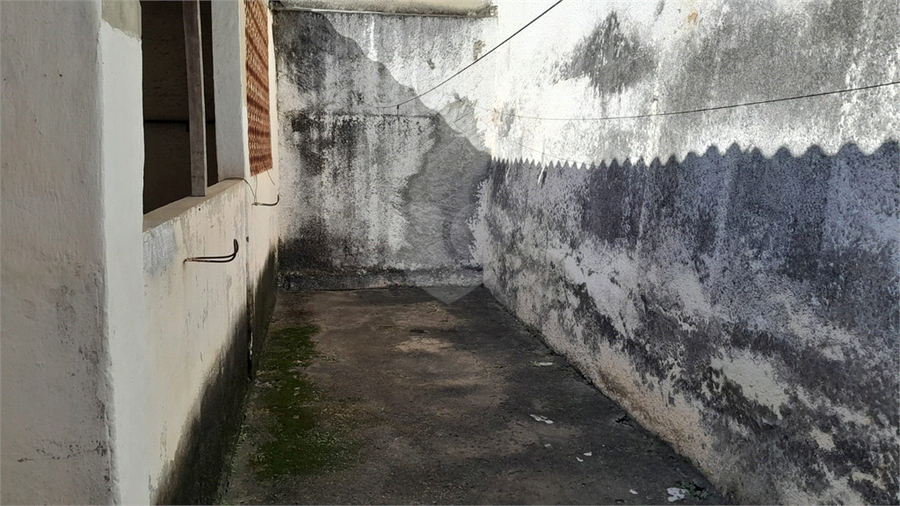 Foto REO1131817