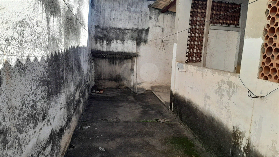 Foto REO1131817