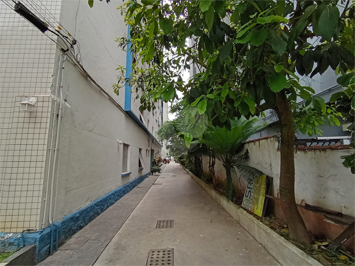 Foto REO1131824
