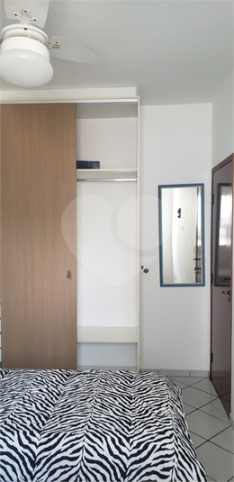 Foto REO1131825