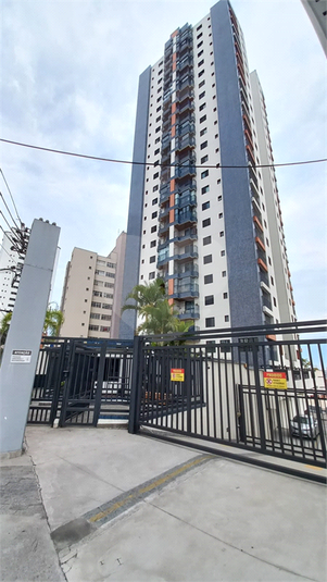 Foto REO1131827