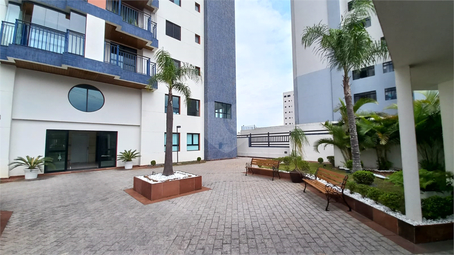 Foto REO1131827