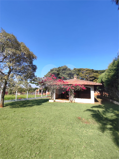 Foto REO1131833