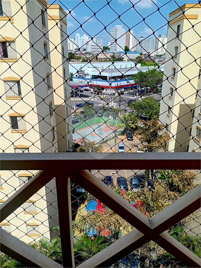 Foto REO1131837