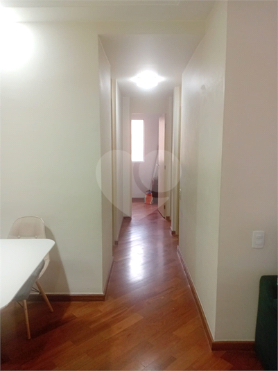 Foto REO1131837
