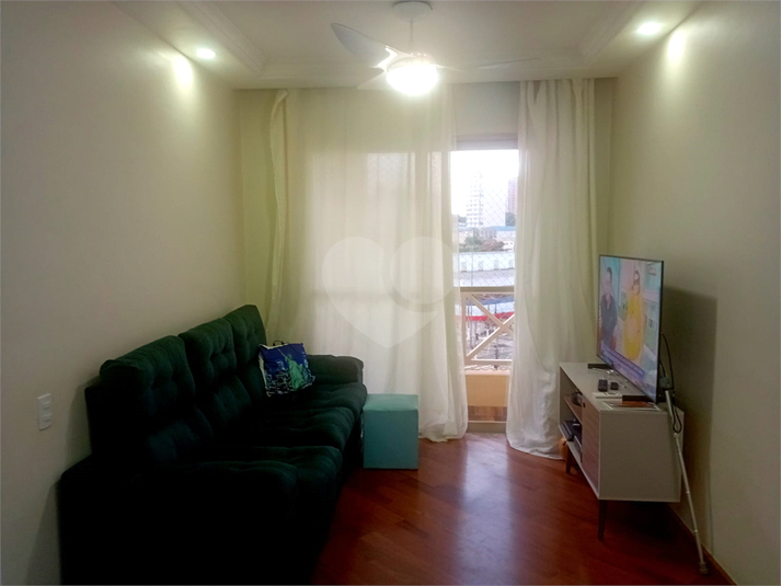 Foto REO1131837
