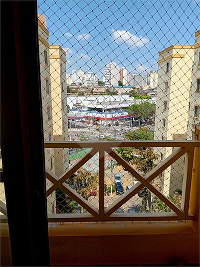 Foto REO1131837