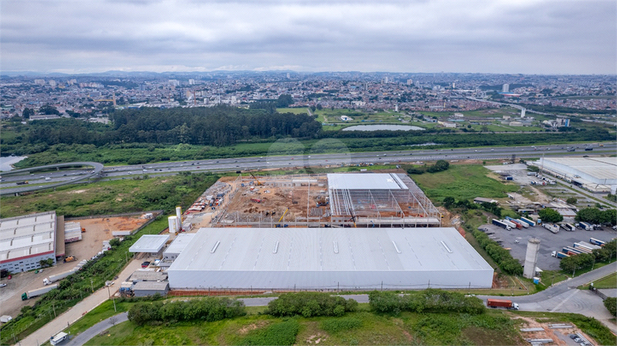 Foto REO1131862