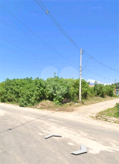 Foto REO1131863