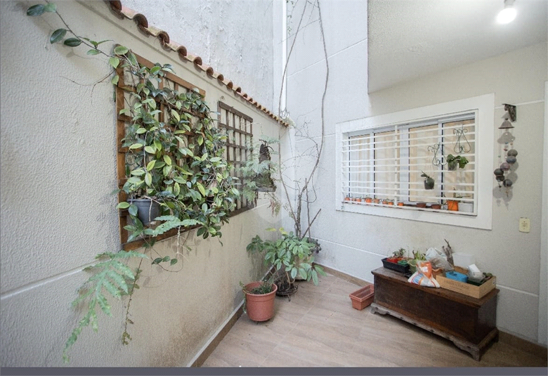 Foto REO1131866