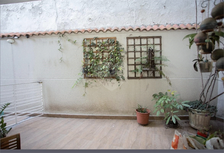 Foto REO1131866