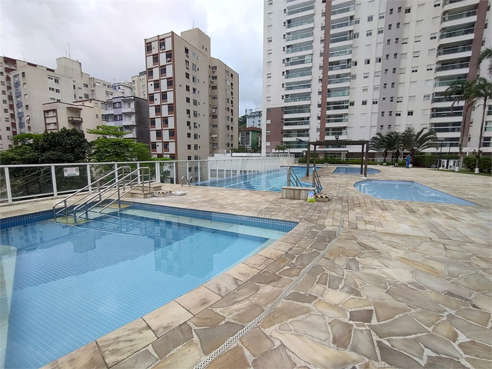 Foto REO1131893