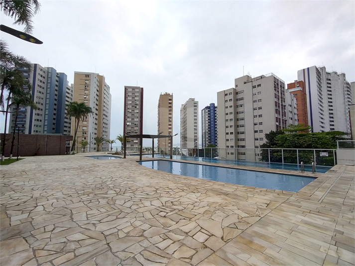Foto REO1131893
