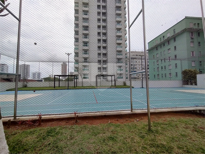 Foto REO1131893