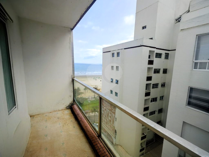 Foto REO1131894