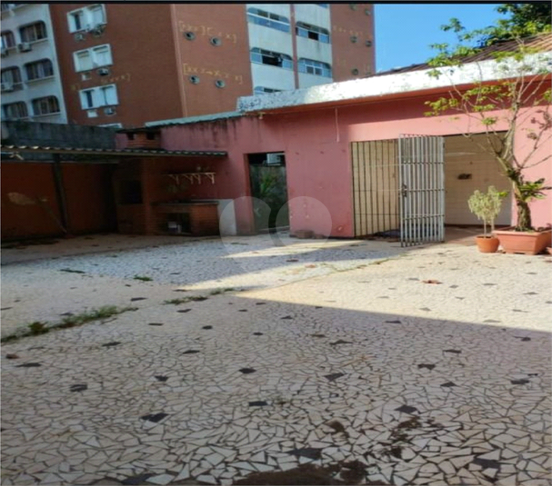 Foto REO1131903