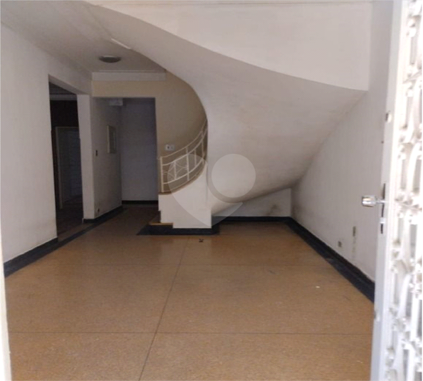 Foto REO1131903