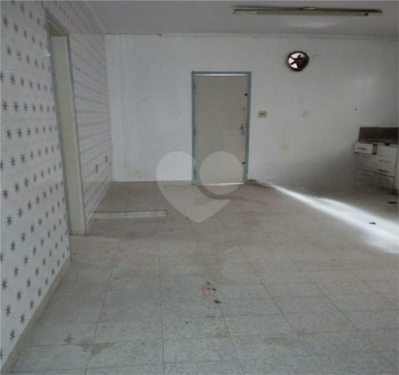 Foto REO1131903