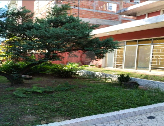 Foto REO1131903