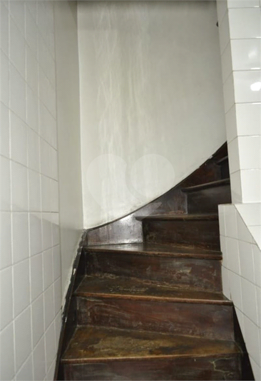 Foto REO1131914