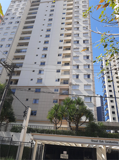 Foto REO1131919