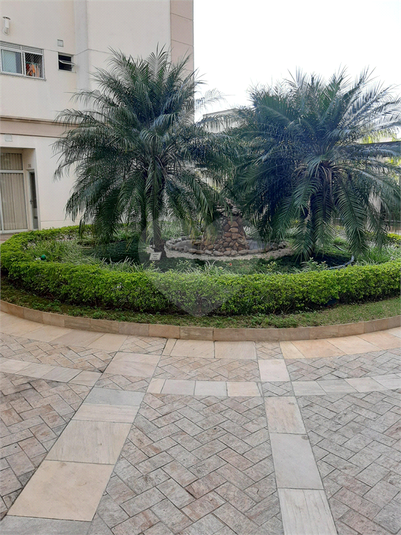Foto REO1131919
