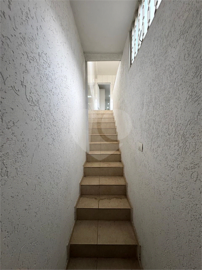 Foto REO1131928