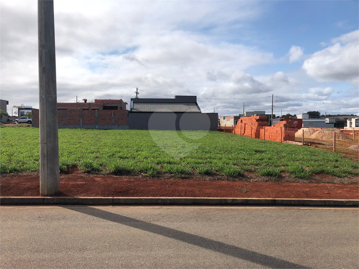 Foto REO1131932