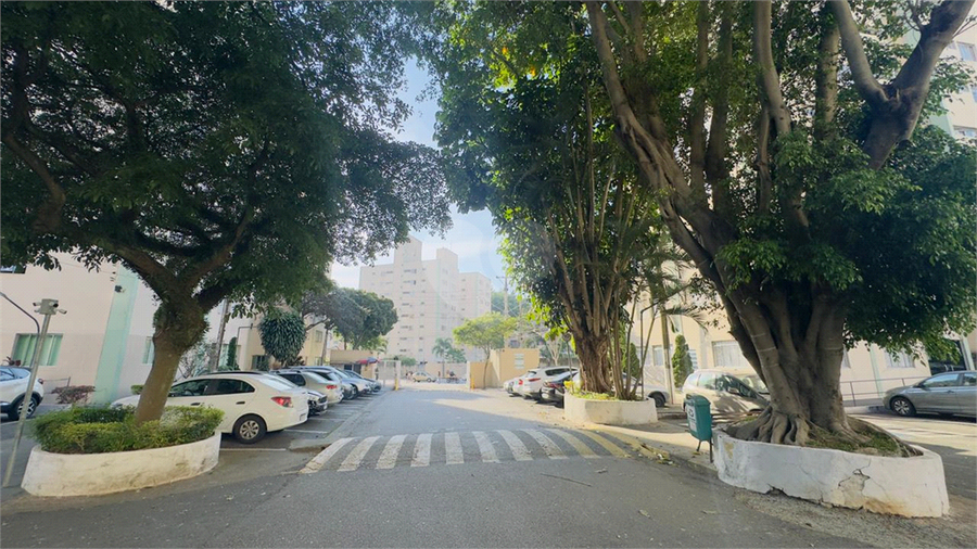 Foto REO1131938