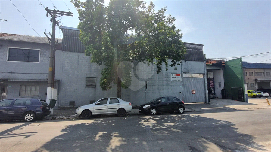 Foto REO1131943