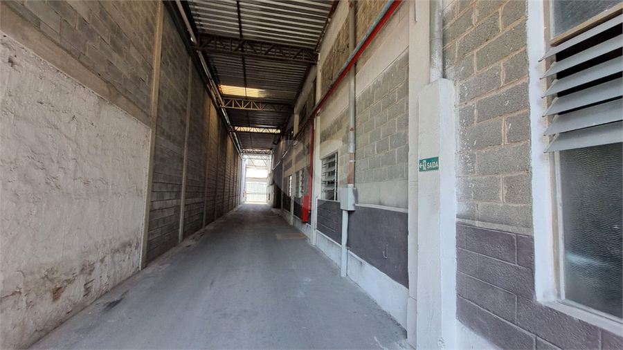 Foto REO1131944