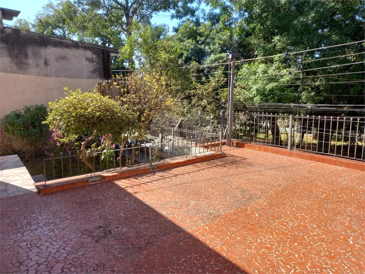 Foto REO1131949