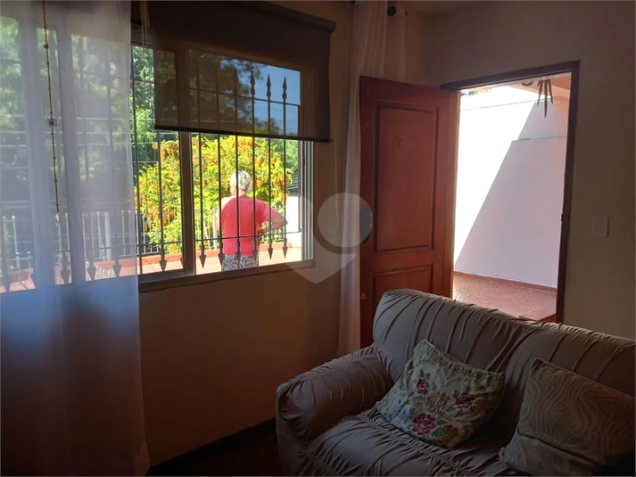 Foto REO1131949